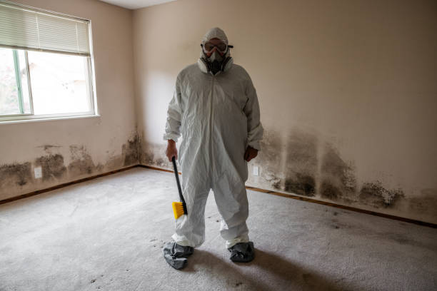 Best Professional Mold Removal  in Liberty, KY