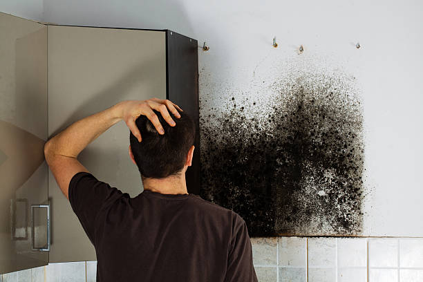 Water Damage Restoration in Liberty, KY